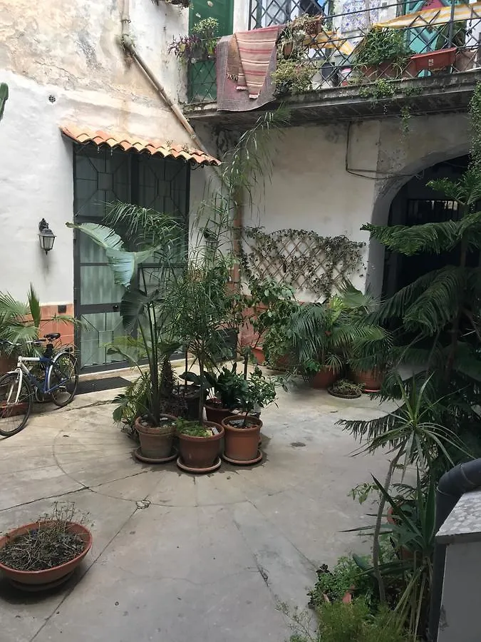 Sunflower Garden 巴勒莫 意大利