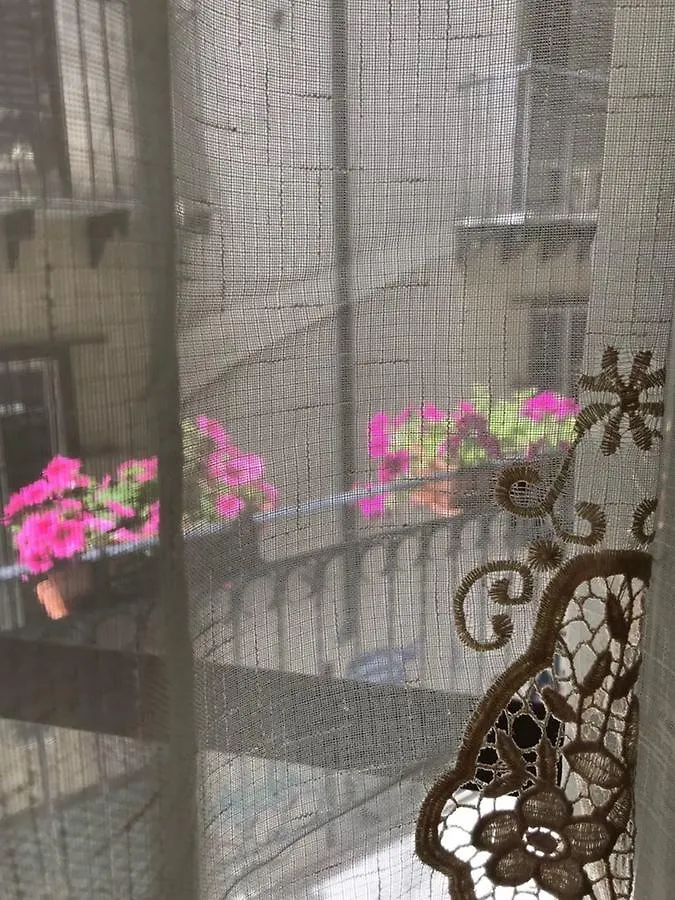Sunflower Garden 巴勒莫